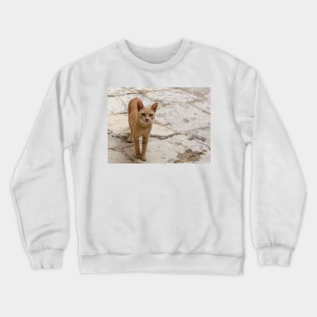 Stray ginger tabby cat Crewneck Sweatshirt by lena-maximova